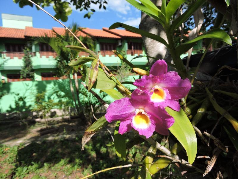 Florianópolis Castelo Da Ilha 아파트 호텔 외부 사진
